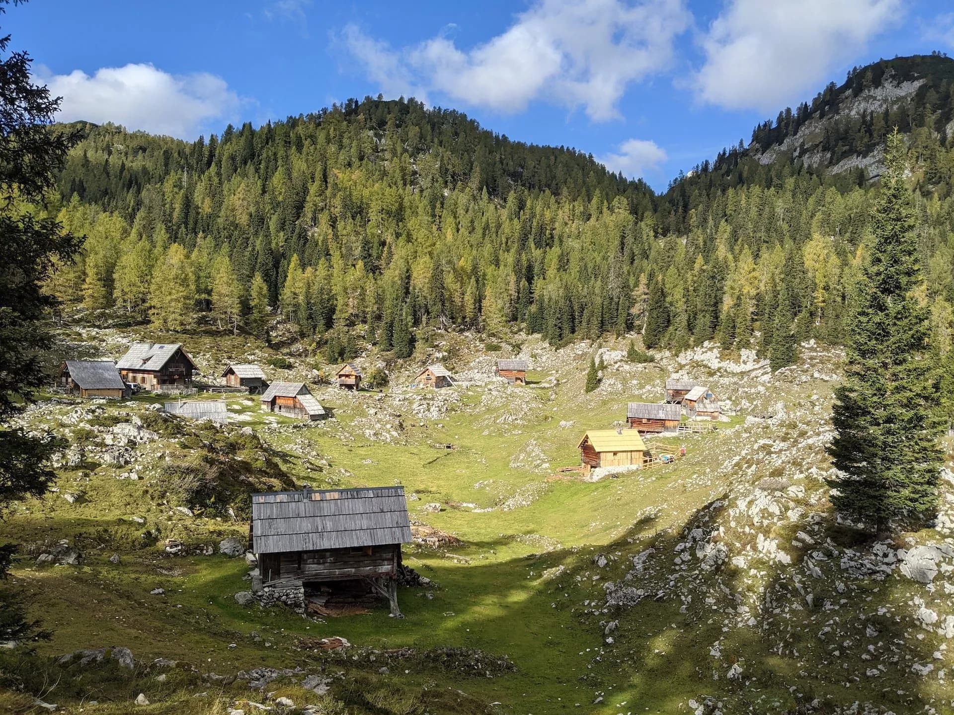 Wooden shepherd huts scattered across a green mountain pasture below a dense pine forest under a blue sky.