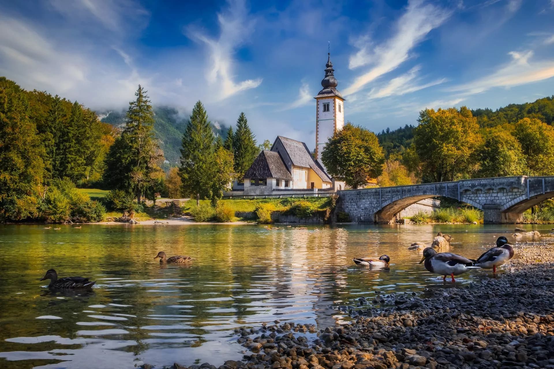 Ducks on a rocky shore of a lake near a church and stone bridge in Bohinj.