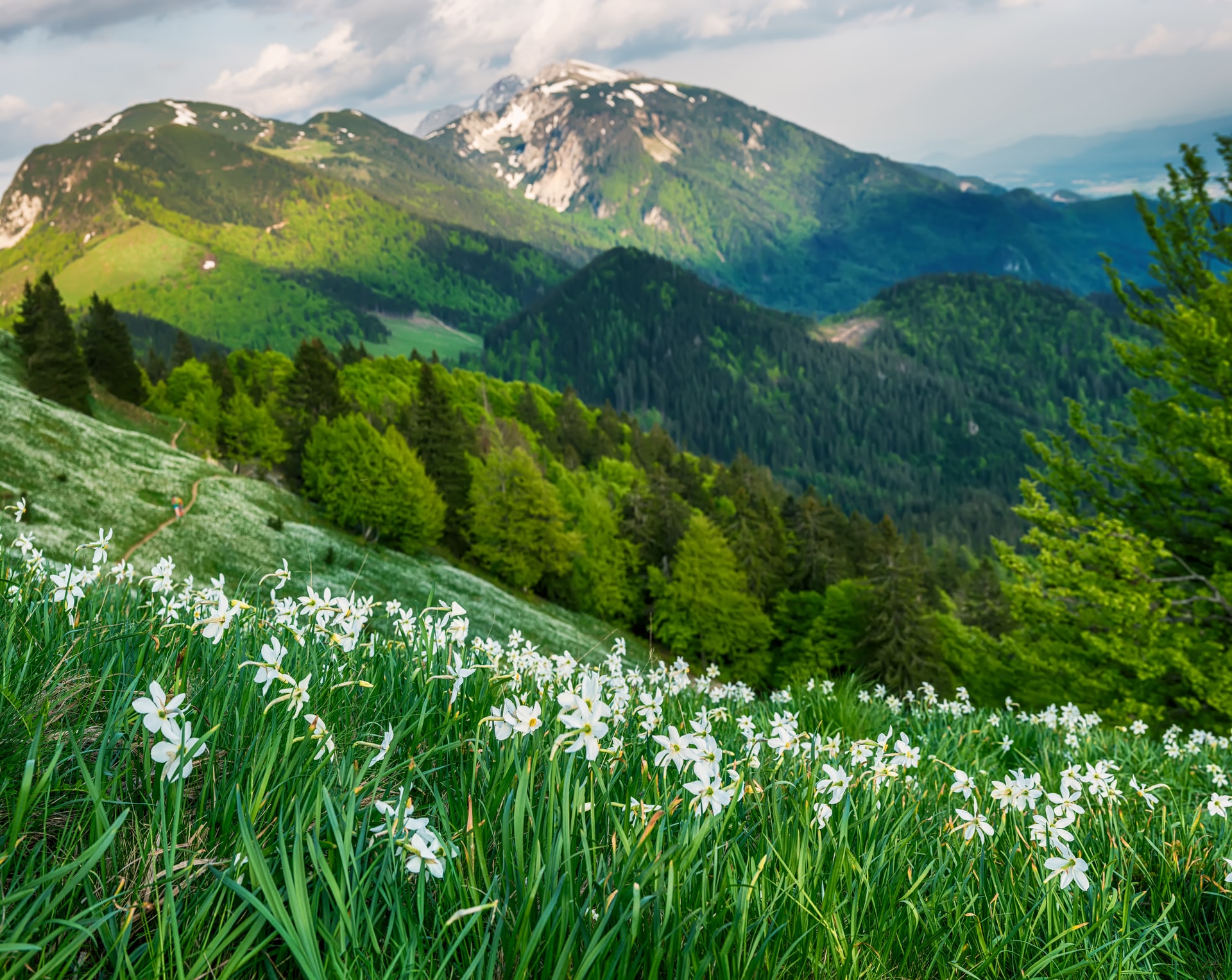 3-Day Best of Karawanks Hike
