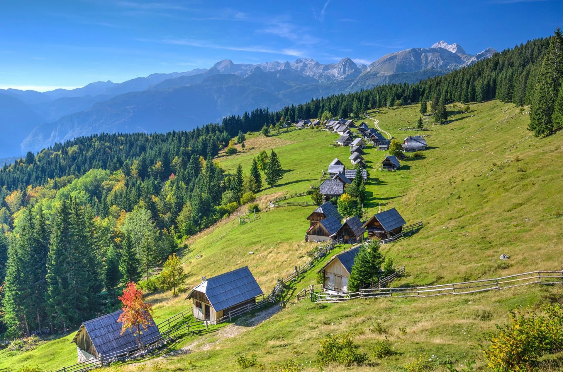 Pokljuka Family Hut to Hut Hike