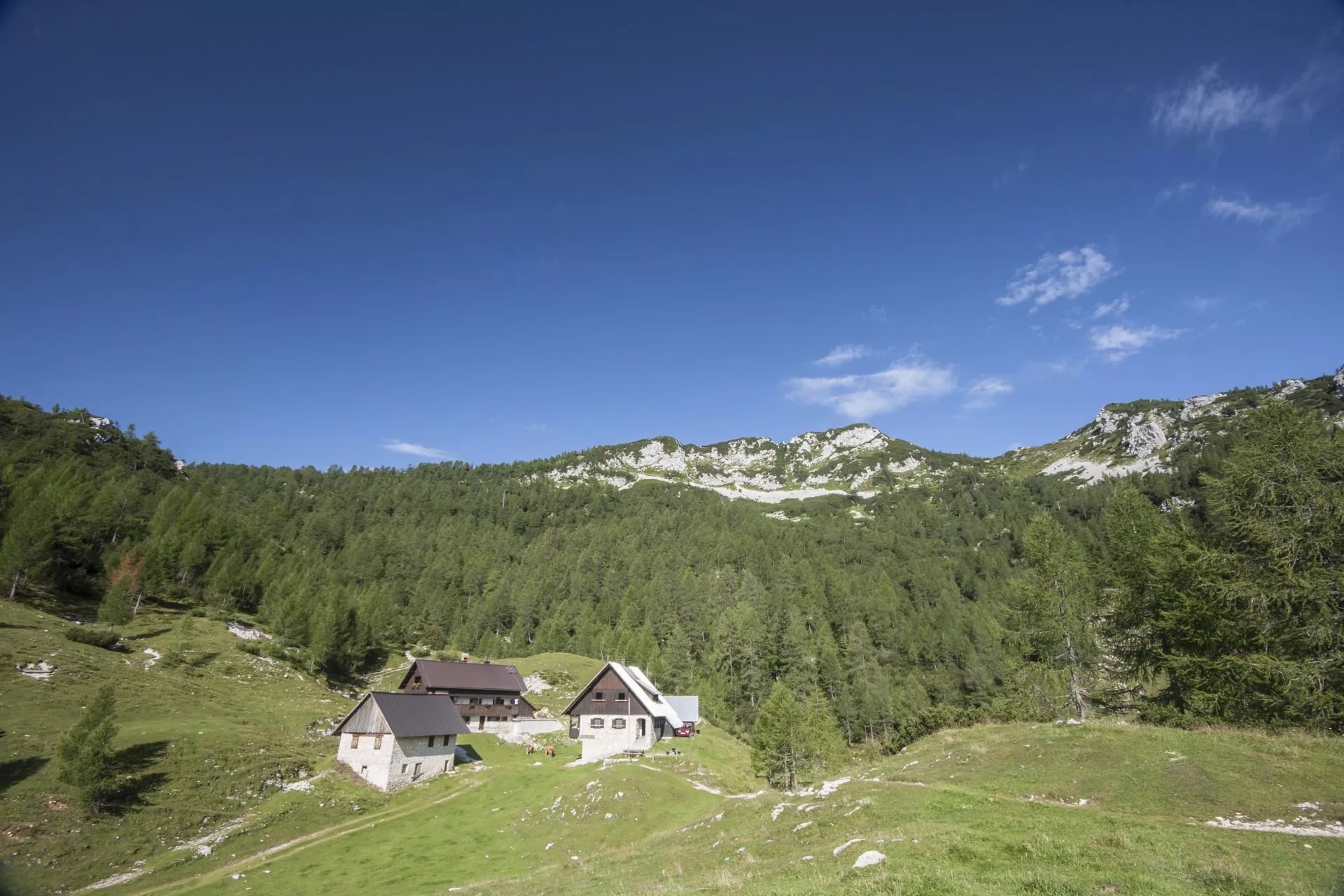 blejska hut lipanca scaled