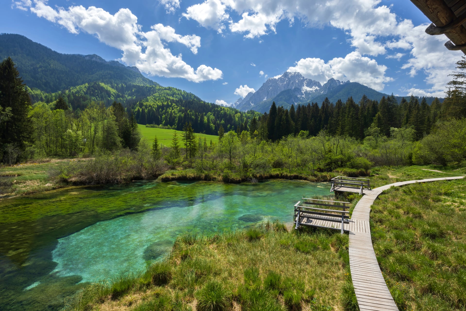 Spring landscape in Zelenci, Slovenia