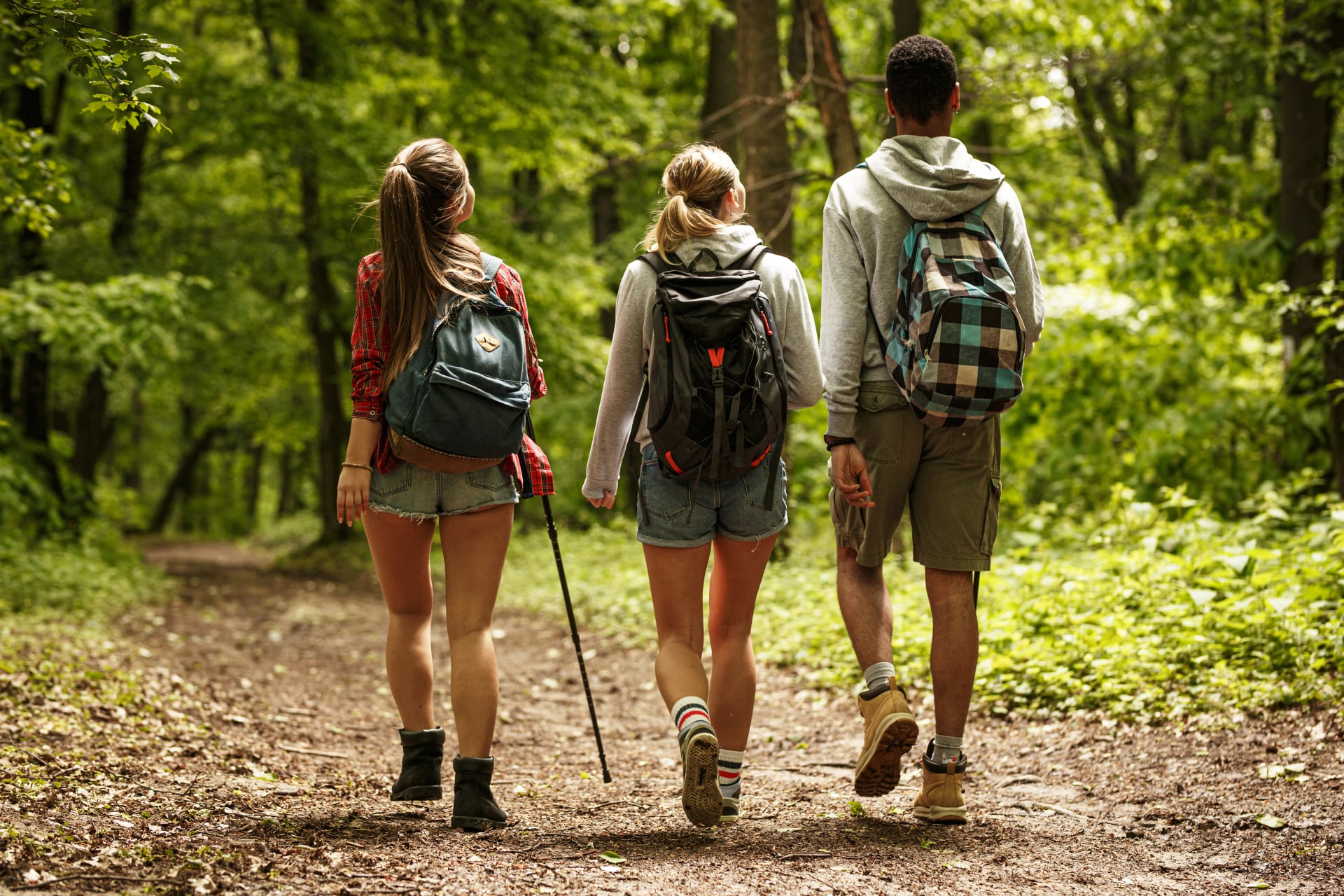 Gruppe von Freunden, die gemeinsam in der Natur wandern. Sie gehen auf einem alten Pfad. Rückansicht.